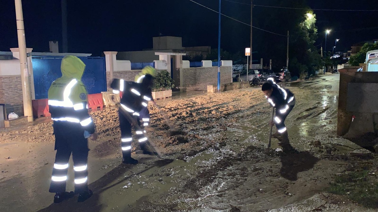 EA351F0F-25D5-4068-8779-FE5F33254CA7