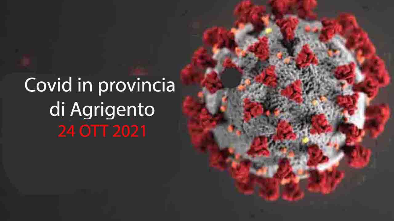 Covid, in provincia 10 nuovi casi e 7 guarigioni. Gli attuali positivi sono 265