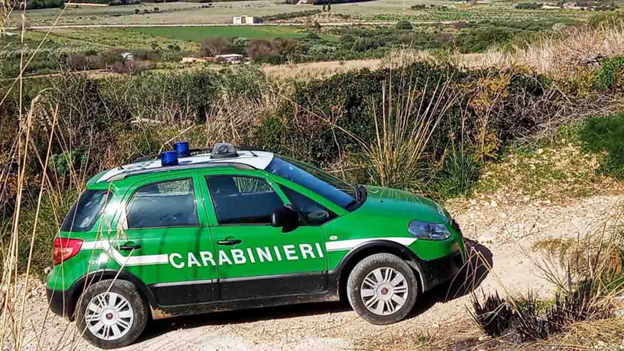 carabinieri forestale