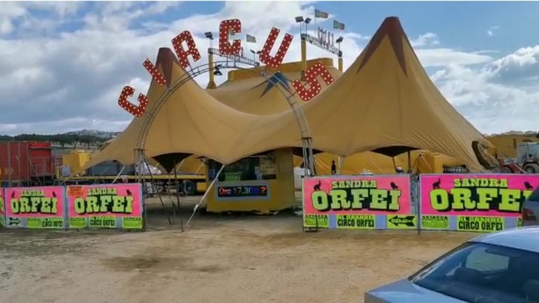 circo orfei