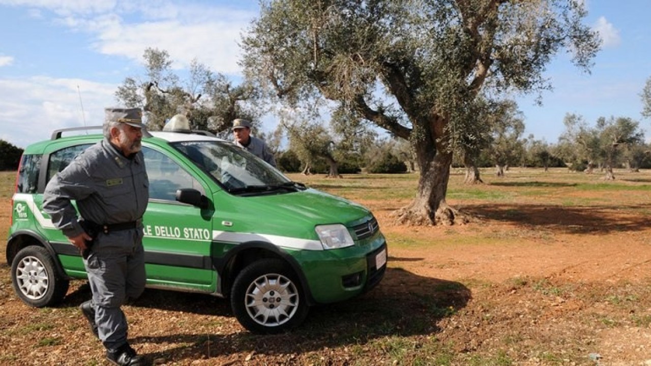 corpo-forestale-sicilia