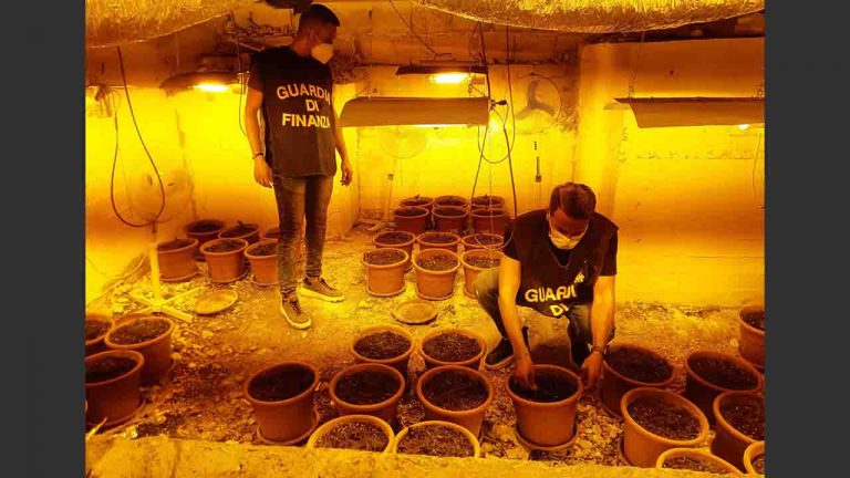 piantagione droga scantinato condominio 1