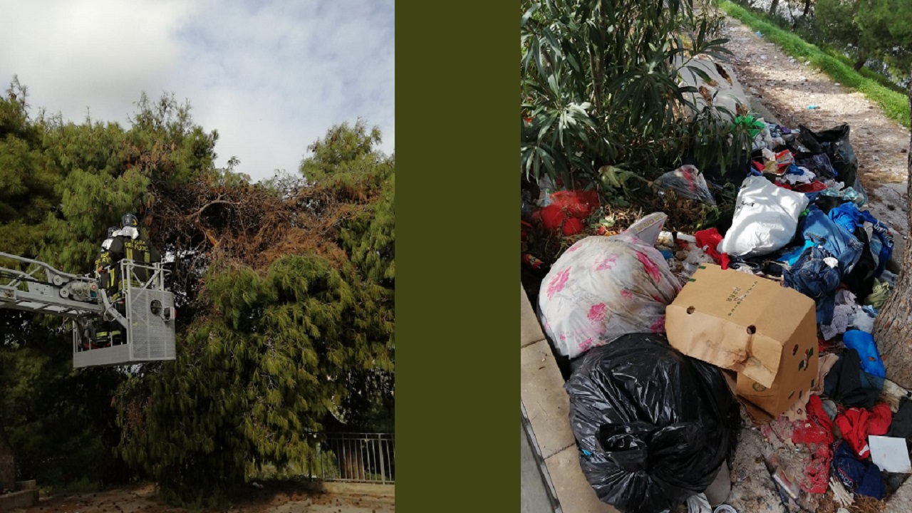vigili fuoco taglio albero e spazzatura 2021