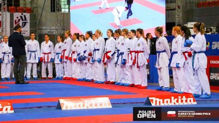 Ippon Karate