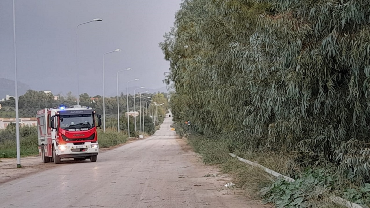 alberi caduti foggia strada liberata 2021