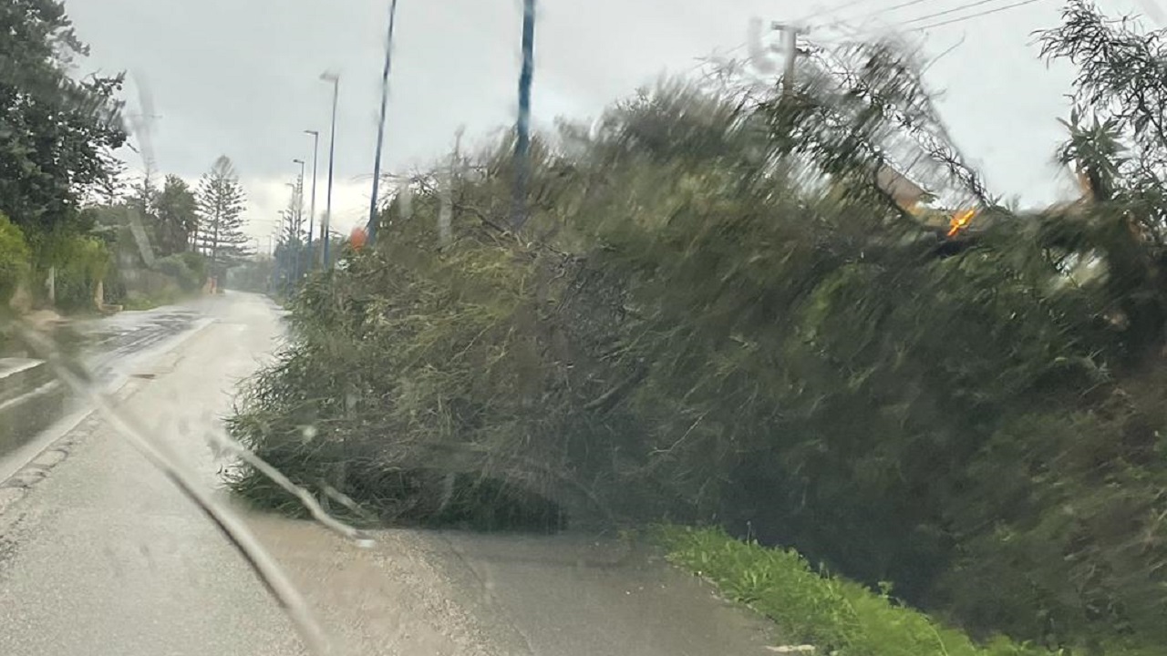 Vento fortissimo, alberi sulla strada anche in via San Marco