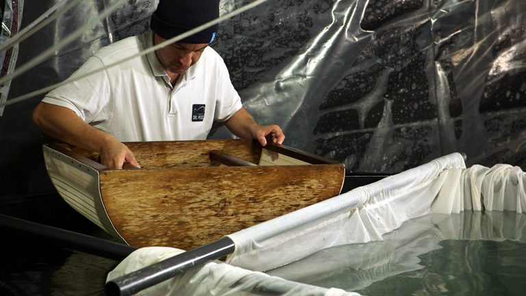 avannotto 1280x720
