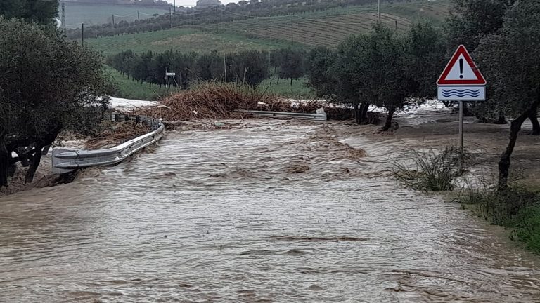 raganella ponticello novembre 2021