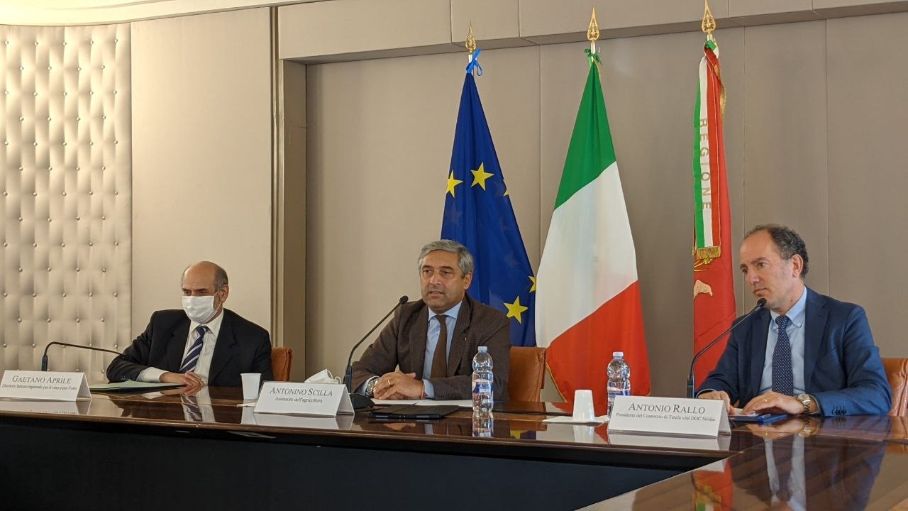 scilla fascette DOC Sicilia