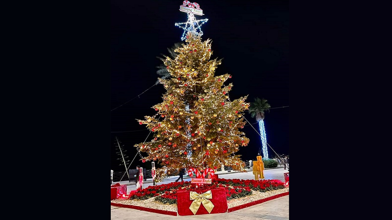 Pronto e illuminato l'albero di Natale in piazza Scandaliato