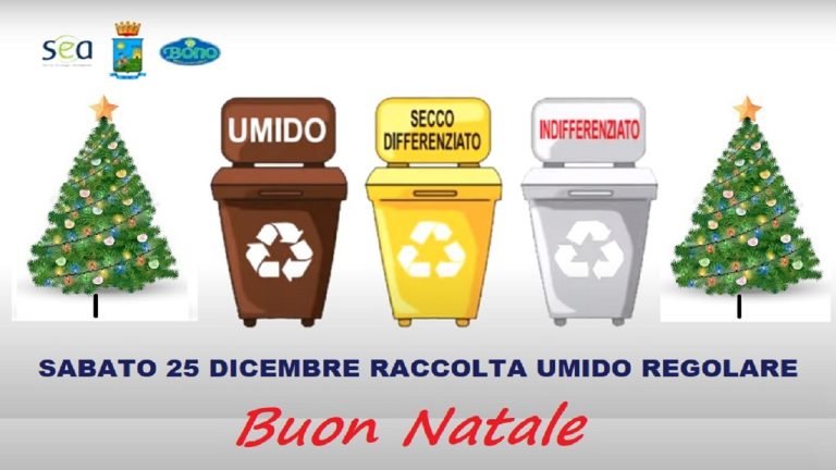 bono sea natale