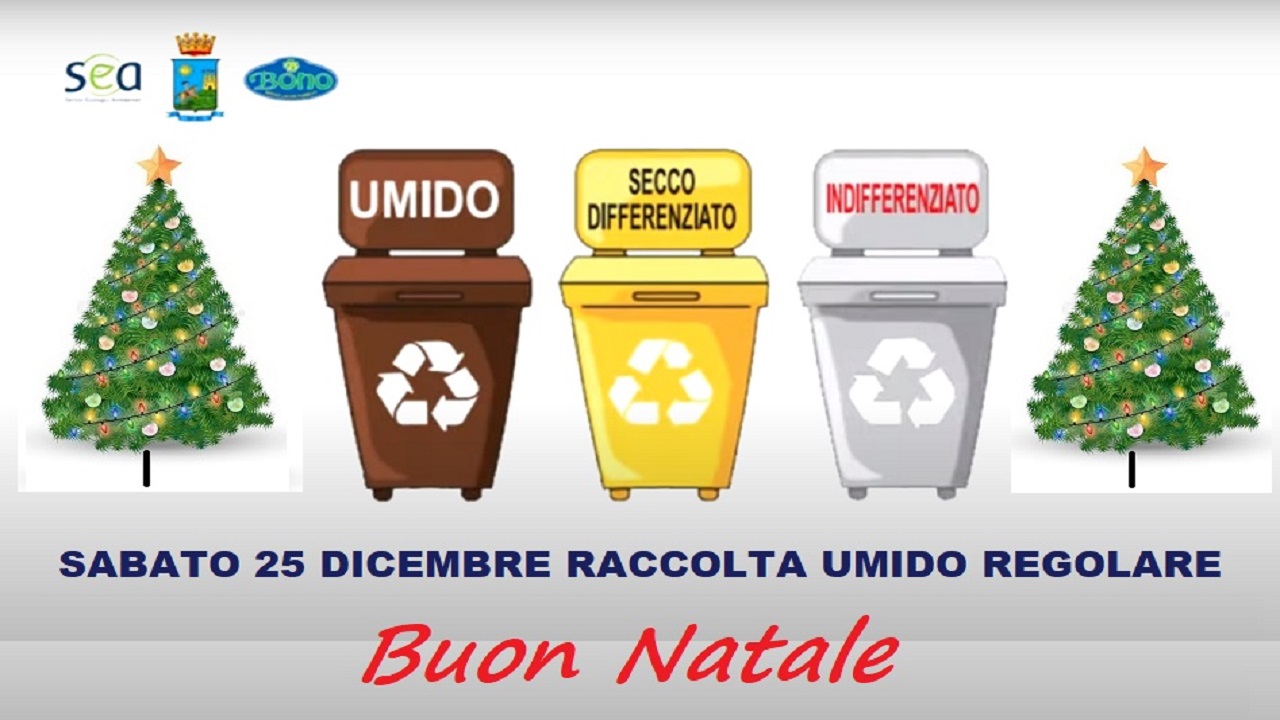 bono sea natale