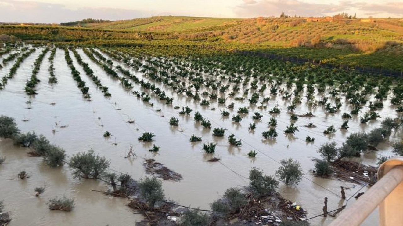 fiume-Platani-esondato 2021