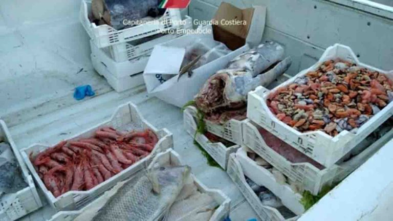 sequestro pesce-4