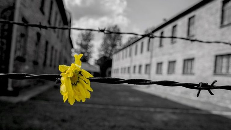 Giorno-della-memoria-27-gennaio-perché-oggi-e-cosa-rappresenta