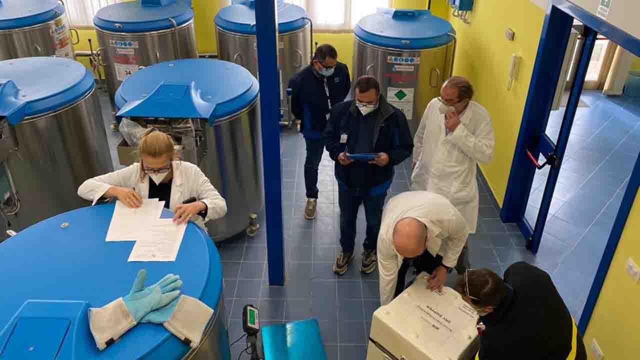 Sacca cordone ombelicare sciacca 1280x720