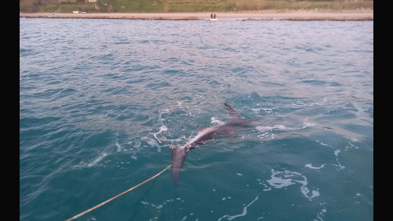 Verdesca Sciacca 25 gen 2022 1280x720