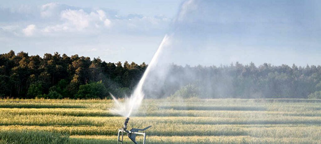 Consorzio di bonifica di Agrigento, Sammartino: Lavoriamo per assicurare regolarità degli stipendi ai lavoratori