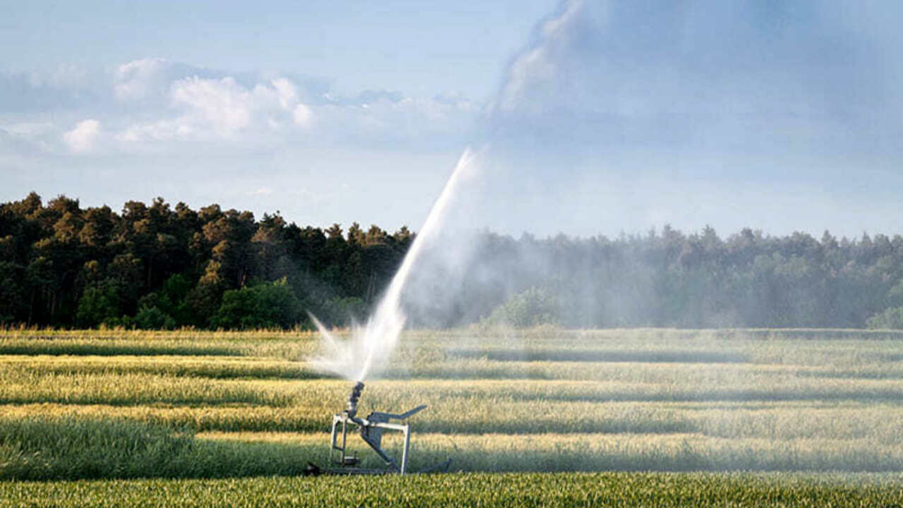 Consorzio di bonifica di Agrigento, Sammartino: Lavoriamo per assicurare regolarità degli stipendi ai lavoratori