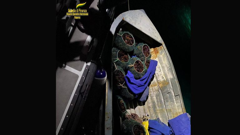 Guardia Finanza sequestro ricci 2