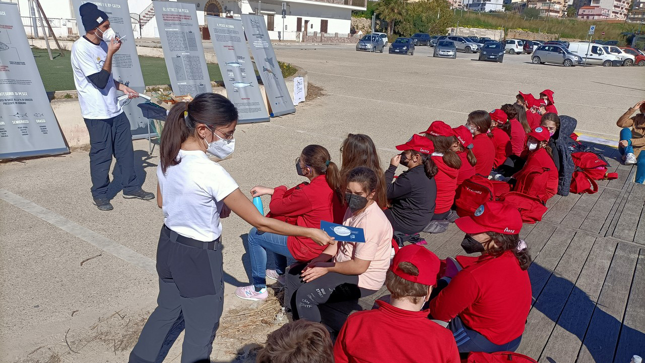 mAREVIVO sTAZZONE 1280X720