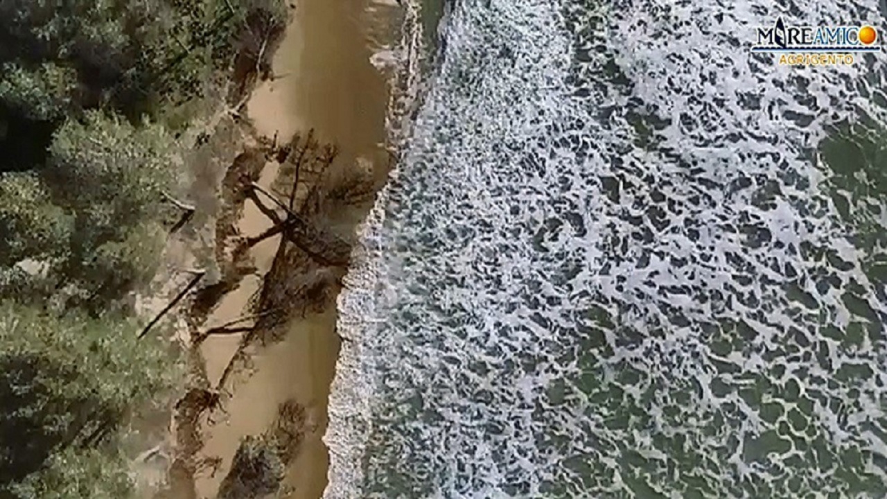 mare amico eraclea 2022