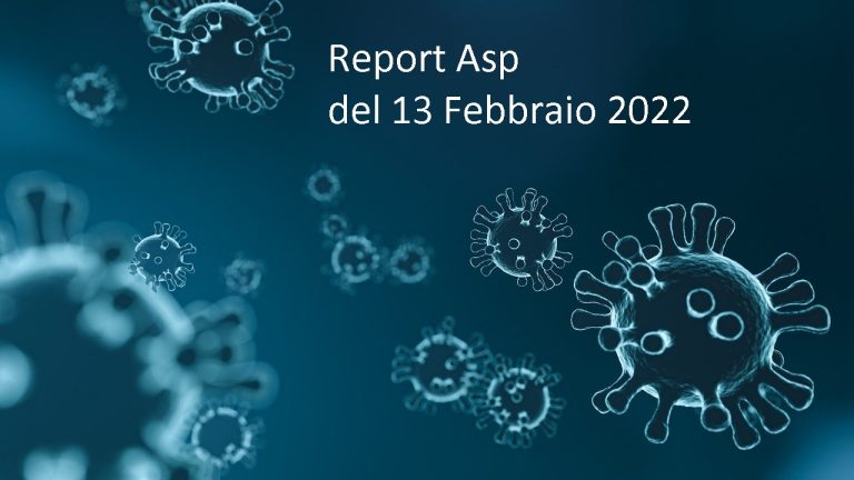 report asp 14-12