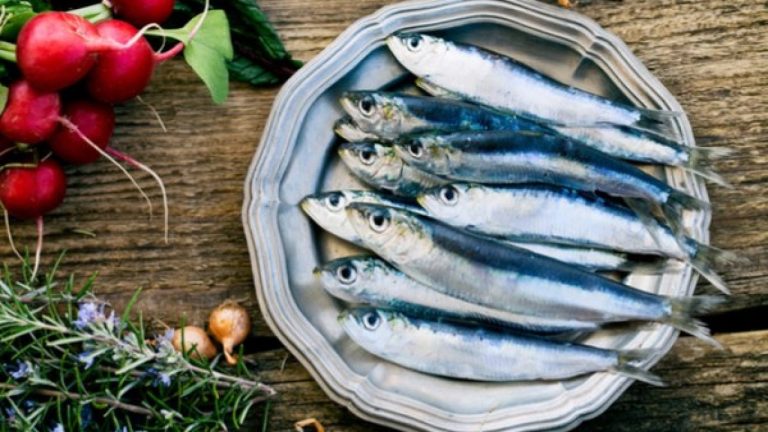 sardine piatto
