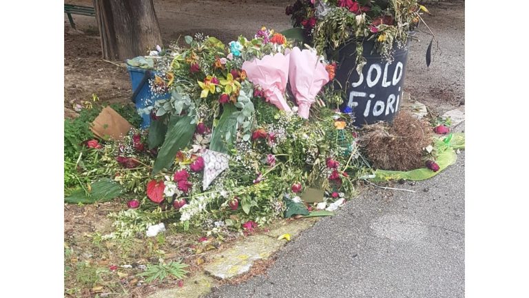 CIMITERO DEGRADO 13 MARZ 2022 B