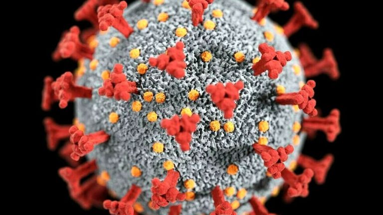 coronavirus-21