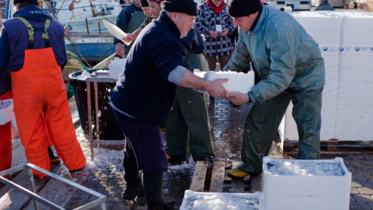 Pesca, dopo l'estate si pensa di nuovo alla protesta