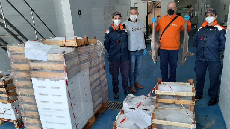 Circomare sequestro pesce