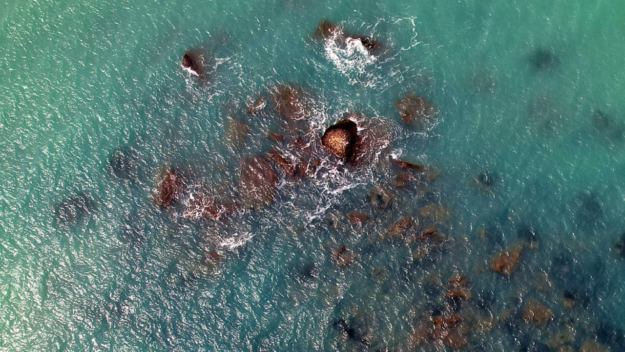 di carlo foto san giorgio 2022