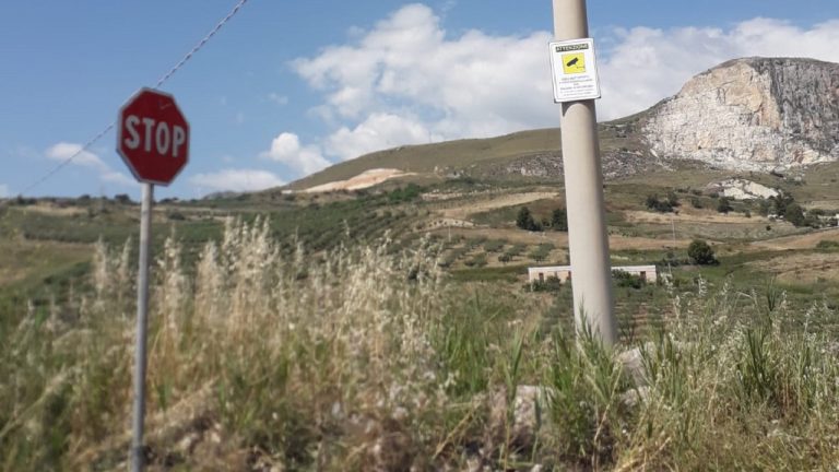 AREA VIDEOSORVEGLIATA SANTA MARIA 2022