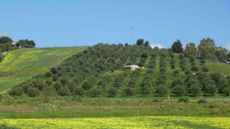 Agricoltura