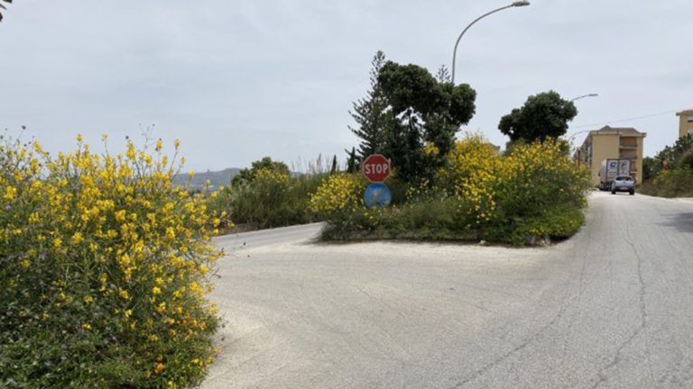 Aiuola pericolosa via dei Tonnaroti 4