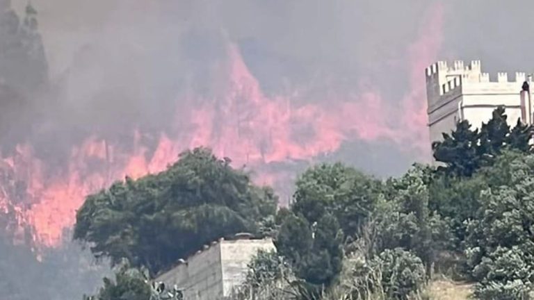 incendio-erice-foto-video-trapani-1