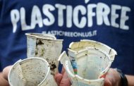 Plastic Free onlus, iniziative all'istituto comprensivo Rossi e alla spiaggia Foggia
