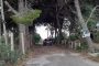 Campi di Padel abusivi in un circolo a Catania: scatta il sequestro