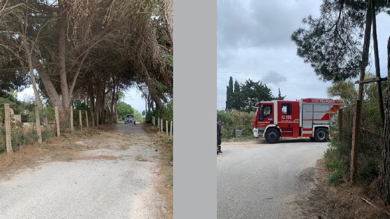 Alberi sulla strada a San Marco. Rischio chiusura di un accesso al mare