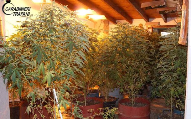 Pantelleria, serra di canapa indoor rinvenuta dai carabinieri: 2 arresti