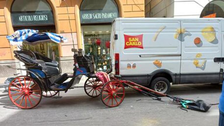 Cavallo imbizzarrito a Palermo
