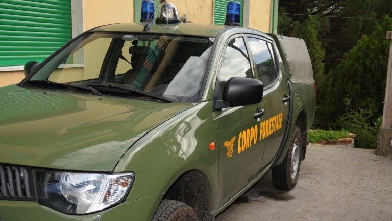 auto corpo forestale
