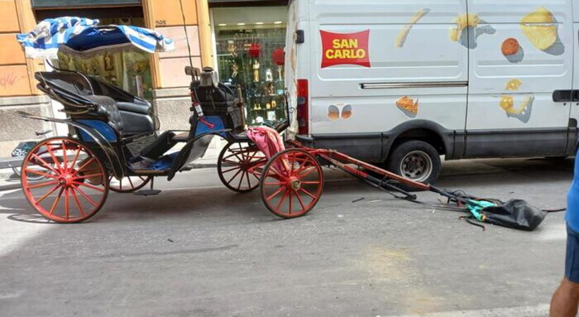 Cavallo colpito da un uomo si imbizzarrisce e fa correre in centro un altro cavallo: danni ad un'auto e un ferito