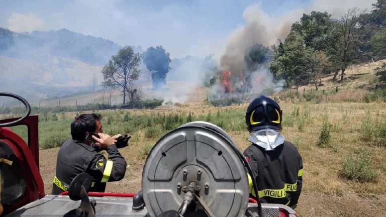 incendio bosco