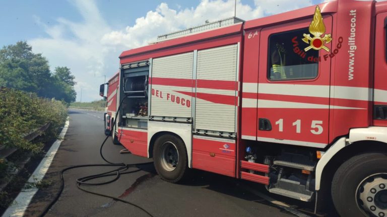 Roma: in provincia 40 focolai di incendi sterpaglie e boschi da stamattina - Foto