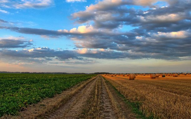 Cosa sapere quando si sceglie di realizzare un’abitazione su un terreno di proprietà