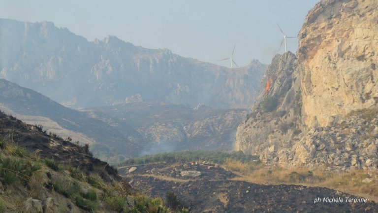 INCENDIO FOTO TERMINE 2022