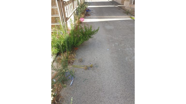 degrado cimitero 31 lug 2022 1280X720