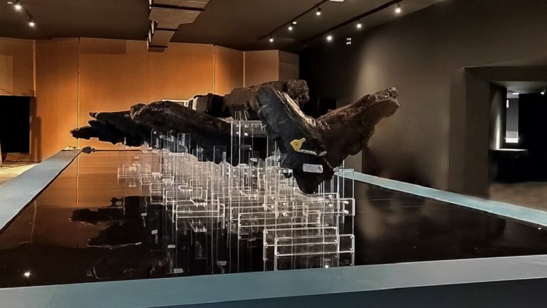 mostra nave gela ulisse 2022